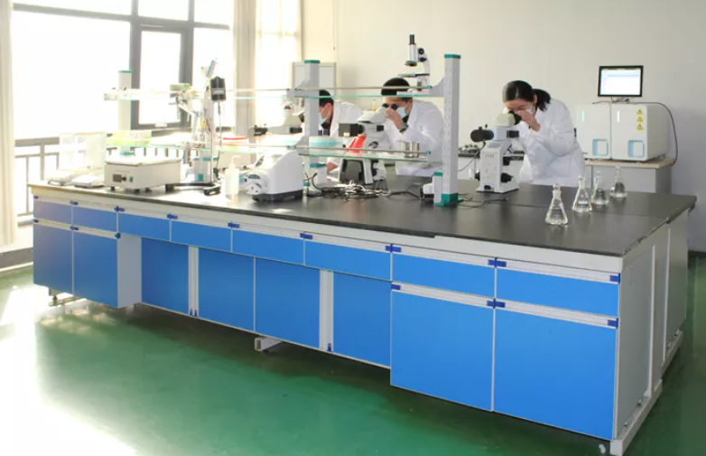 山东恒辰生物科技有限公司.png